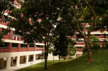 Blk 11 Toh Yi Drive (Bukit Timah), HDB 4 Rooms #330282